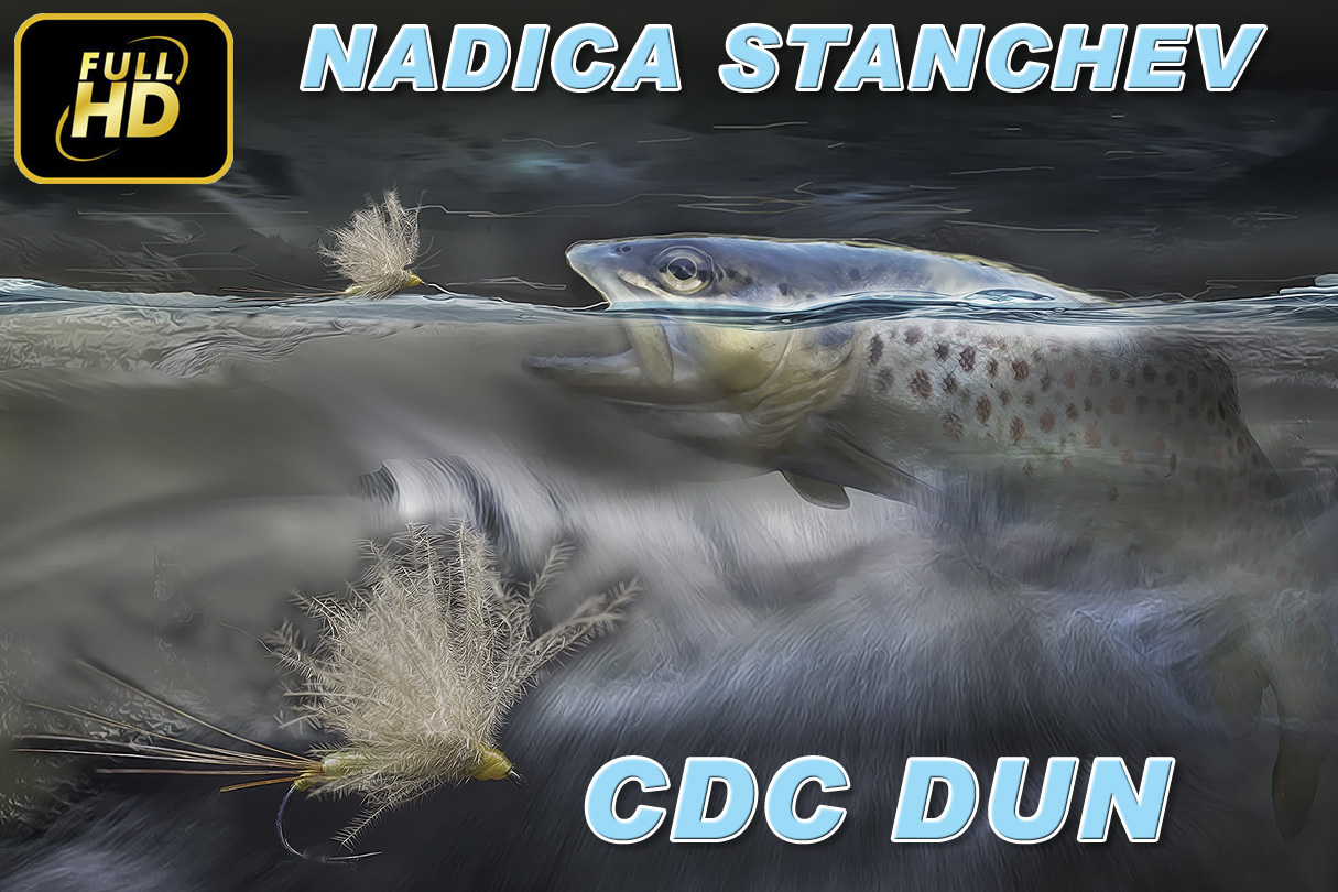 CDC Dun - Надица Станчева
